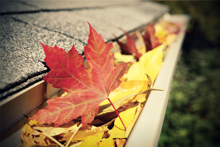 Gutter cleaning